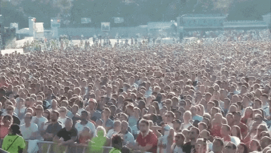 1693127658949.gif