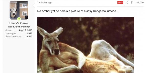 IMG_0542.jpeg