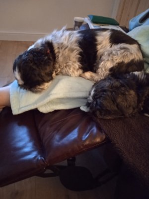 1670699632171 (5).jpg