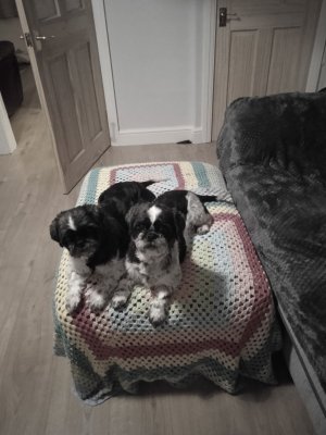 314504626_1089437471730196_2745314570071509731_n (8).jpg