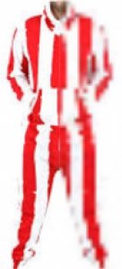 image.jpeg