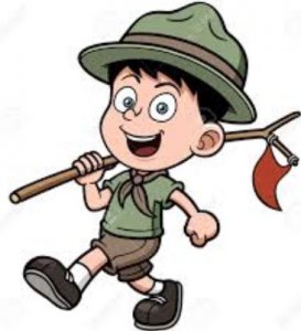 image.jpeg image.jpeg