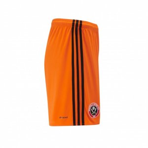 image.jpeg image.jpeg