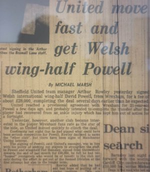 Powell1.jpg
