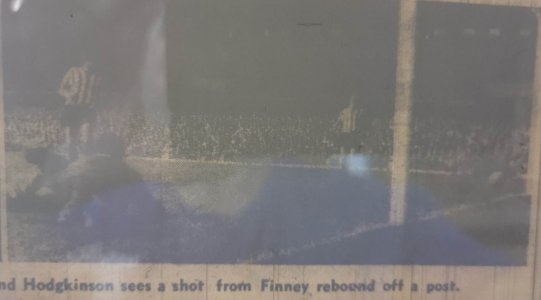 Wendy63Finneypost.jpg