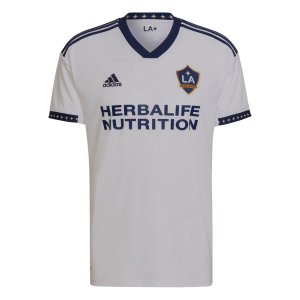 galaxy home fan.jpg