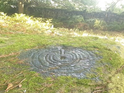 20230922_174111.jpg