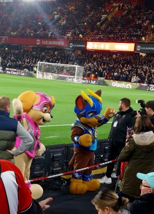 20231021_194735_023_saved.jpg 20231021_194735_023_saved.jpg