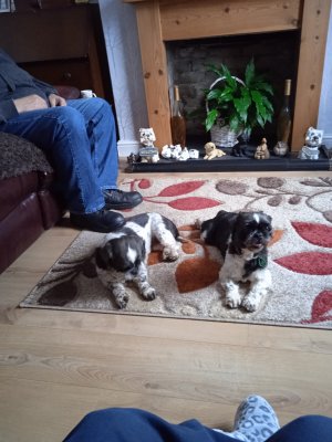 1667377108506 (1).jpg