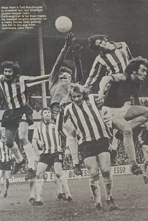 Hammersaway73.jpg Hammersaway73.jpg