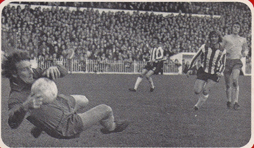 1700209795697.png 1700209795697.png