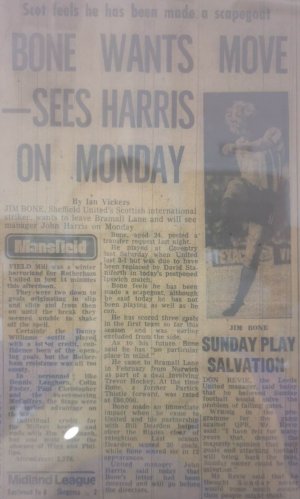 Ips73bone.jpg Ips73bone.jpg