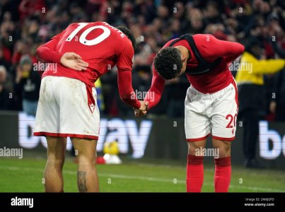nottingham-forests-brennan-johnson-celebrates-scoring-his-sides-second-goal-with-morgan-gibbs-...jpg