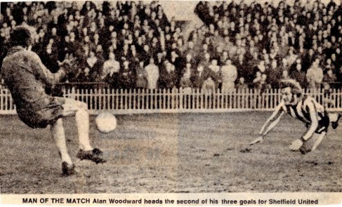 SaintshWoody2.jpg SaintshWoody2.jpg