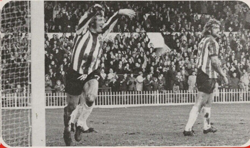 Saints73woody2.png Saints73woody2.png