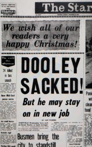 Dooley1.jpg
