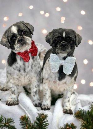 1702122287162 (24).jpg