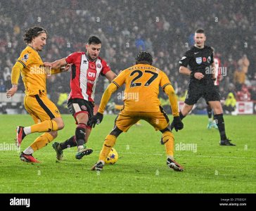 IMG_7382.jpeg IMG_7382.jpeg