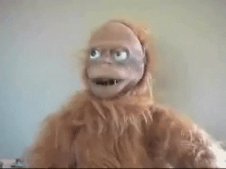 giphy[1].gif