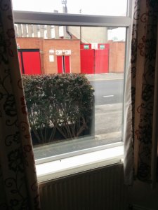 image.jpeg image.jpeg