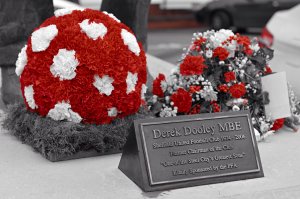 image.jpeg image.jpeg