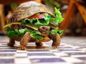 image.jpeg image.jpeg