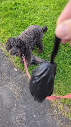 IMG-20240420-WA0010.jpeg