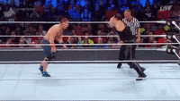 IMG_2032.gif