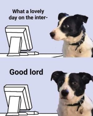 IMG_2994.jpeg