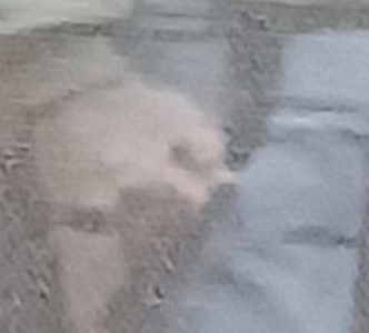 Screenshot_20240611-130733.png