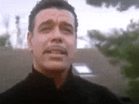 IMG_2241.gif