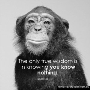 2753ae9c70e6a364f3eadfa3ec597fd4.jpg