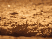 1721050818055.gif