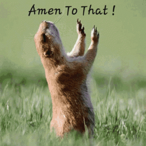 6ae438e3c6edb30c13c8e4a8fad58215.gif