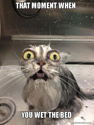 that-moment-when-59319b.jpg