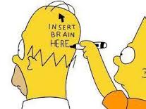 Insert brain.jpg