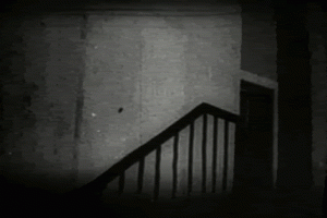 image.gif