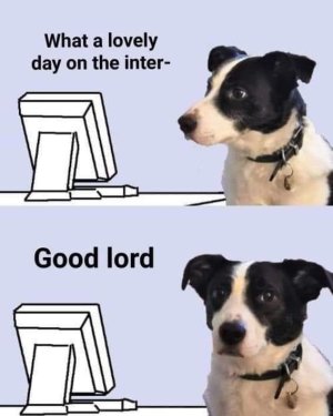 IMG_0344.jpeg