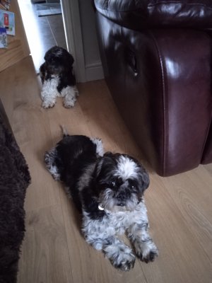 1672573390020 (7).jpg