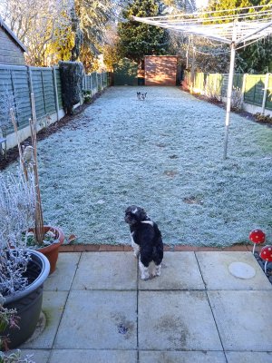 1671013358264 (2).jpg