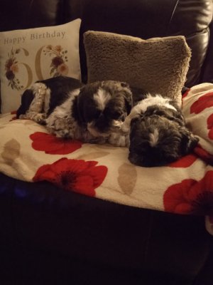 1669010790936 (1).jpg