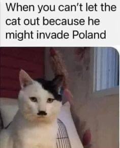 IMG_8552.jpeg