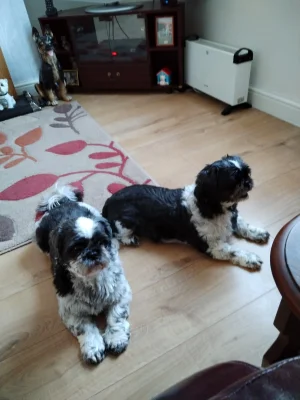 IMG_20240702_200313 (1).webp