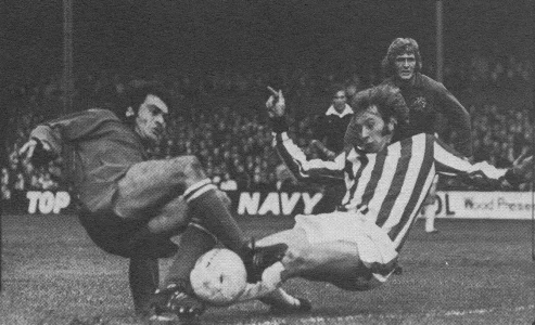 Stoke74Field.webp