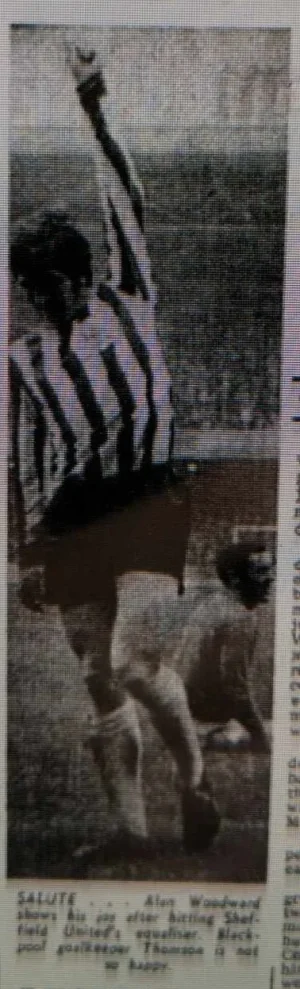 Blackp69woodycelebrate.webp