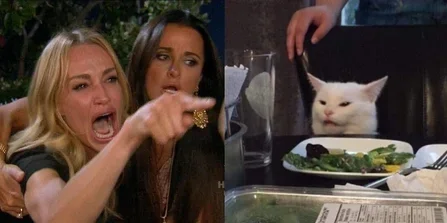 WomanYellingAtACat_meme.webp