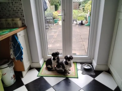 IMG_20240531_181256 (1) (4).webp