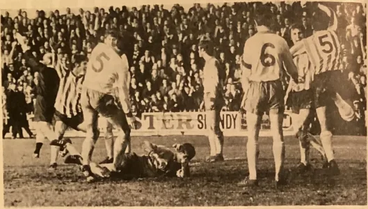 Villa69Eddie1.webp