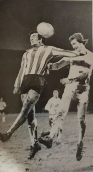 Spurs74Field.webp