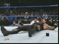 IMG_2514.gif